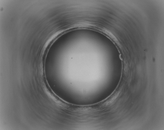 X0000076390939200610202101