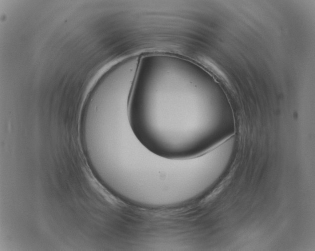 X0000076390940200610202101