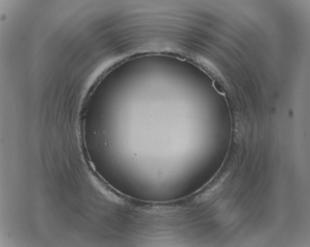 X0000076390942200610202101