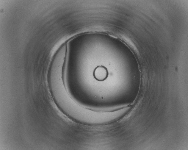 X0000076390944200610202101