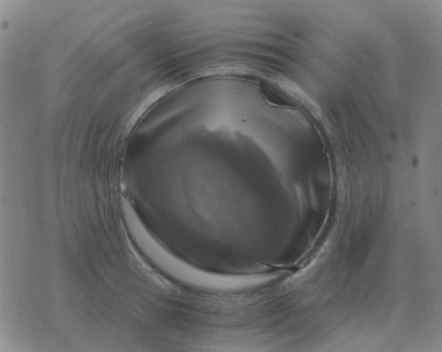 X0000076390945200610202101