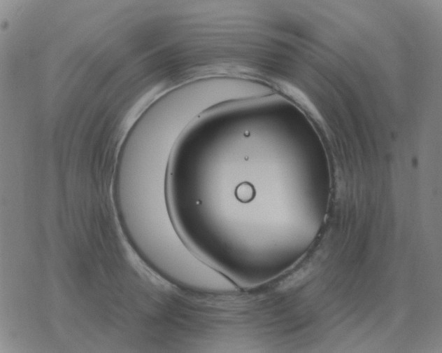 X0000076390946200610202101