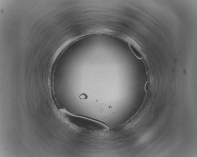 X0000076390947200610202101