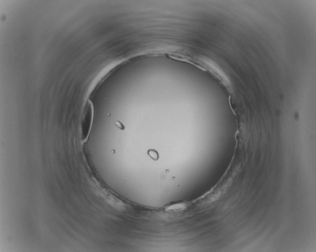 X0000076390948200610202101