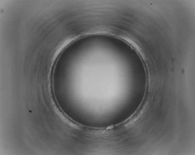 X0000076390949200610202101