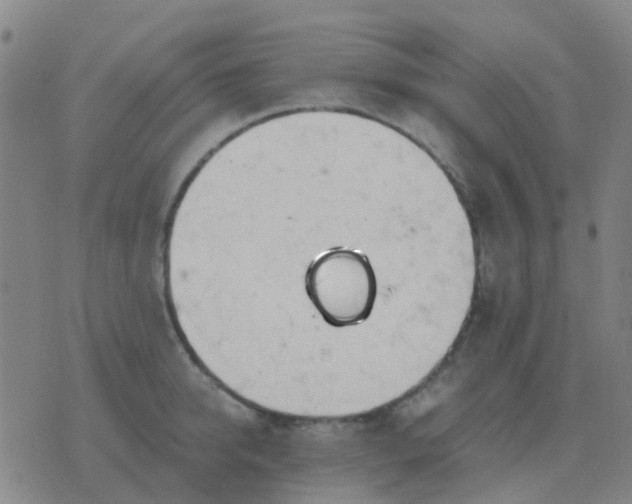 X0000076390950200610202101