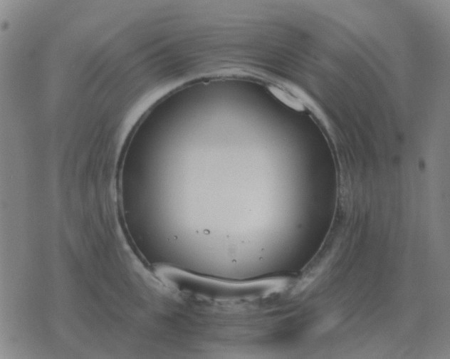 X0000076390951200610202101