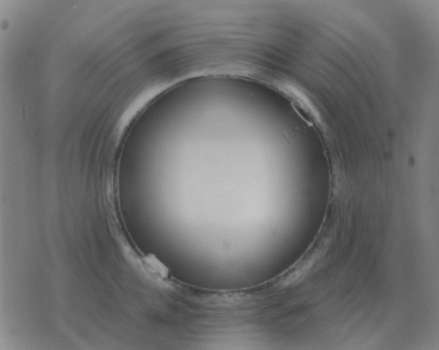 X0000076390952200610202101