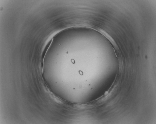 X0000076390956200610202101