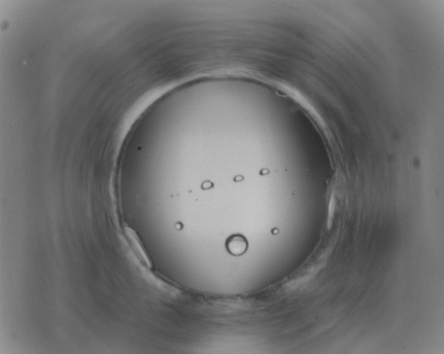 X0000076390959200610202101