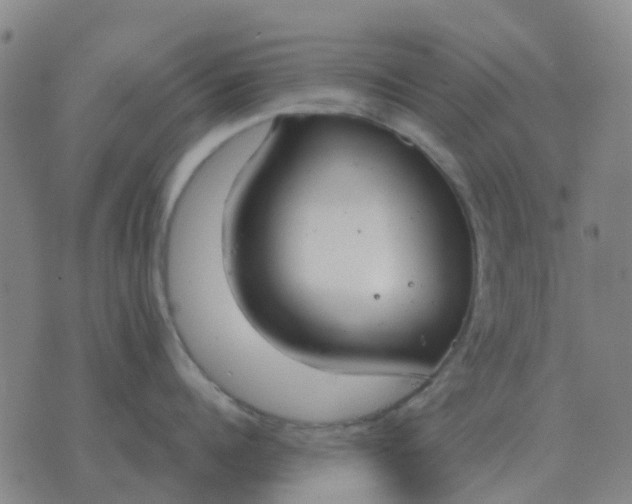 X0000076390960200610202101