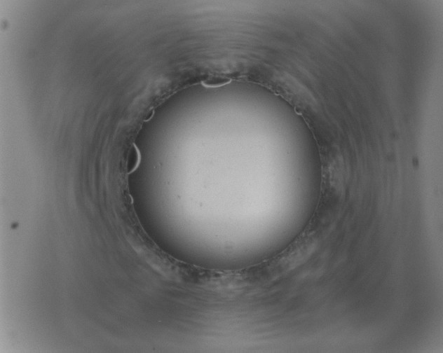 X0000076390961200610202100