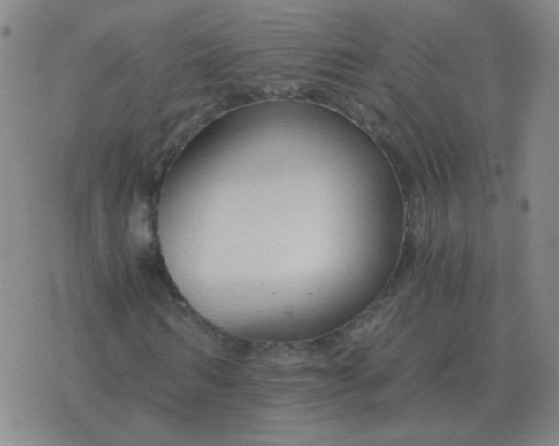 X0000076390962200610202100