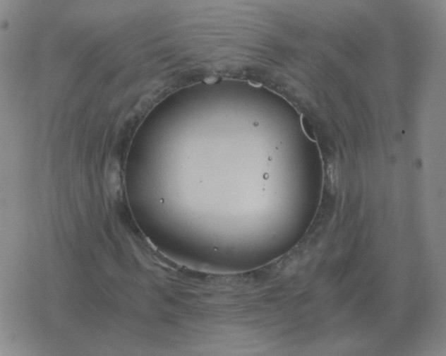 X0000076390963200610202100