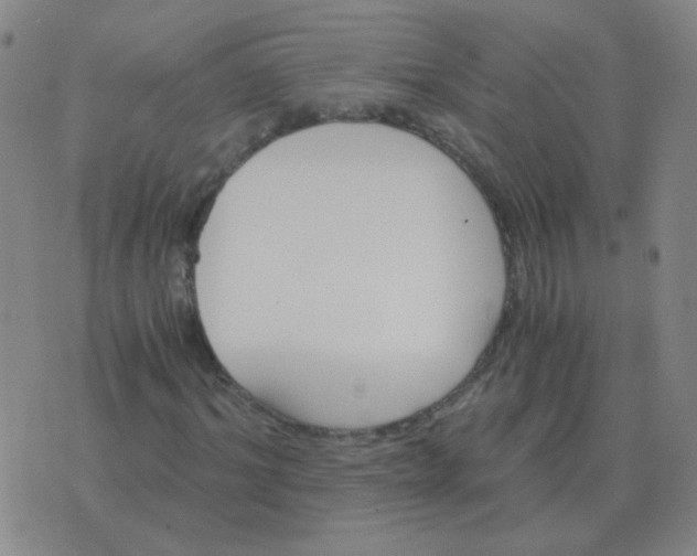 X0000076390964200610202100