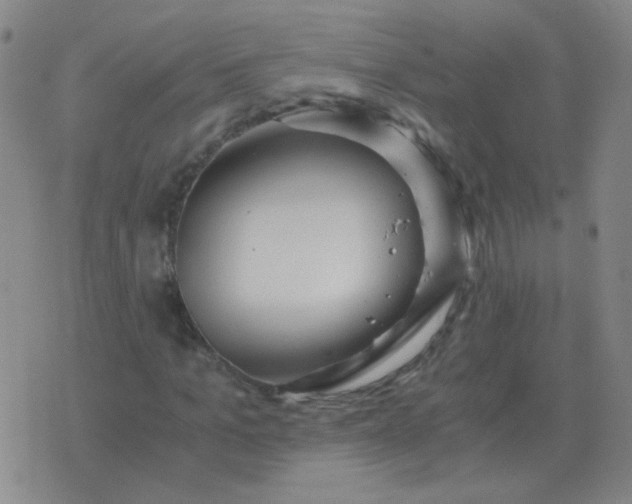 X0000076390965200610202100