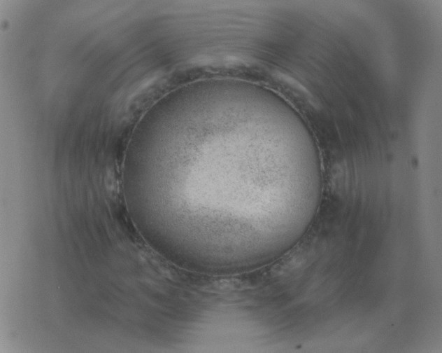 X0000076390966200610202100