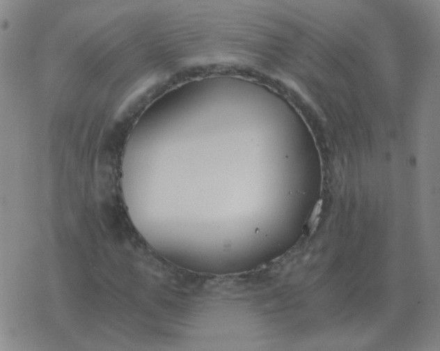 X0000076390967200610202100