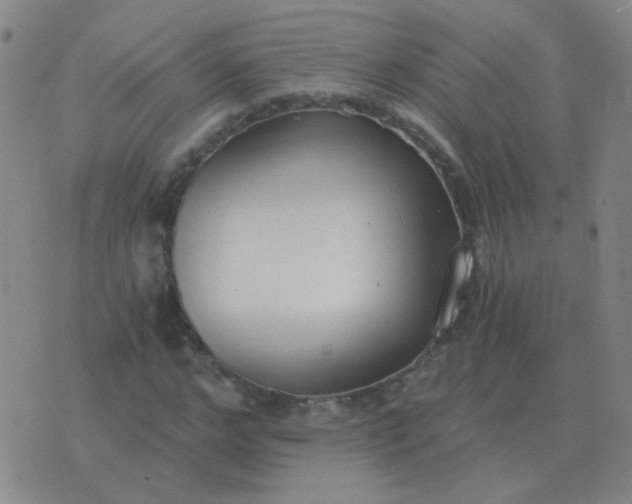 X0000076390968200610202100