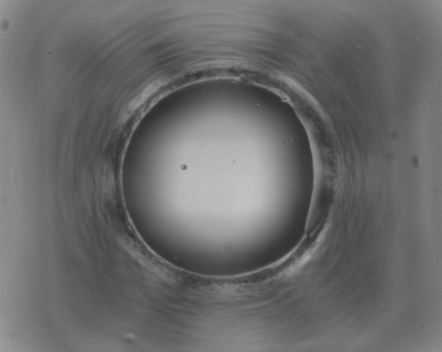 X0000076390969200610202100