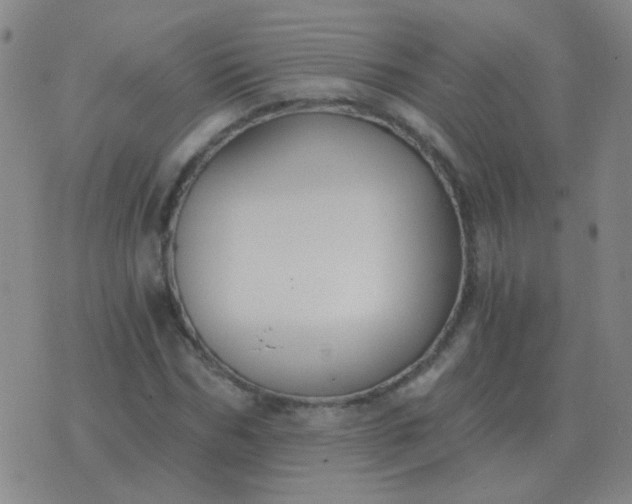 X0000076390970200610202100