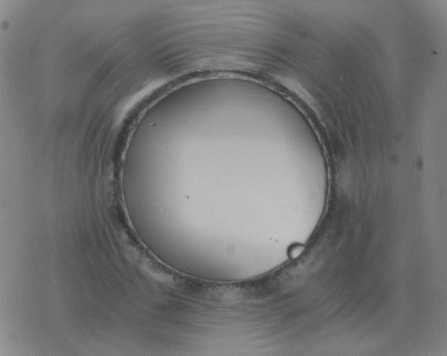 X0000076390971200610202100