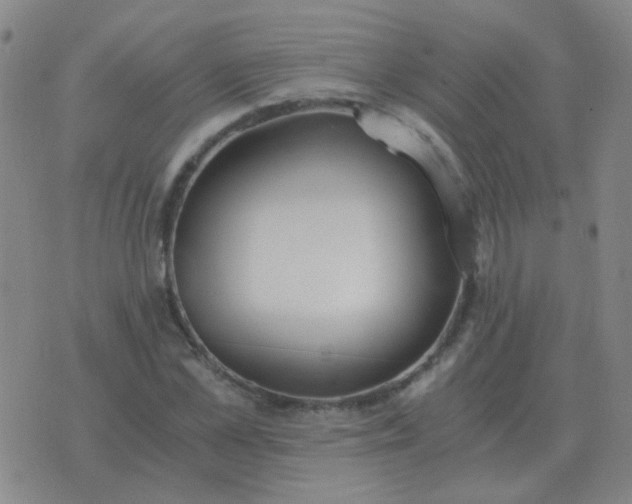 X0000076390973200610202100