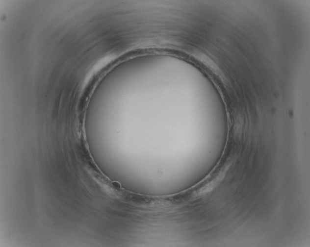 X0000076390974200610202100