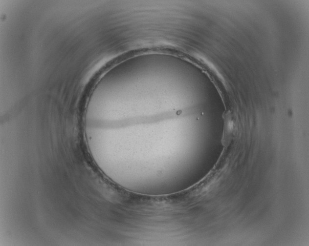 X0000076390975200610202100