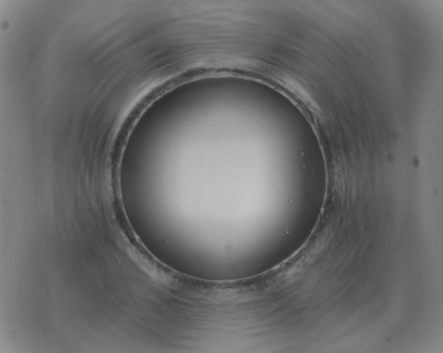 X0000076390976200610202100