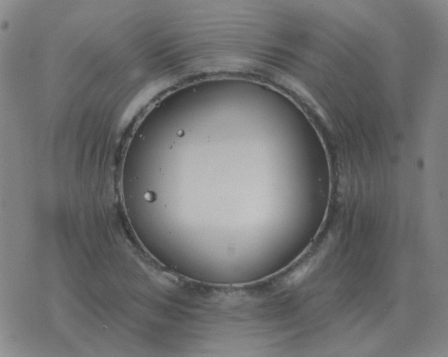 X0000076390978200610202100