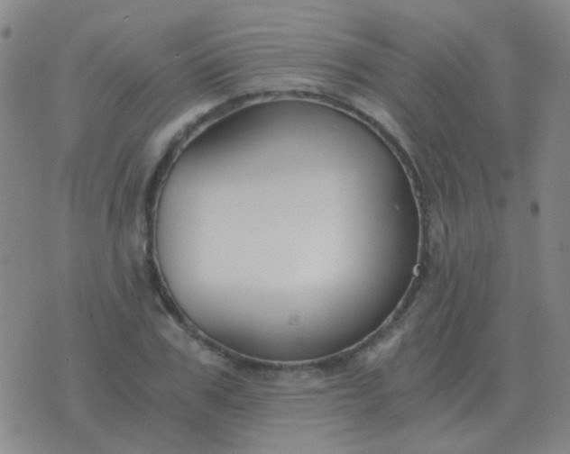 X0000076390979200610202100