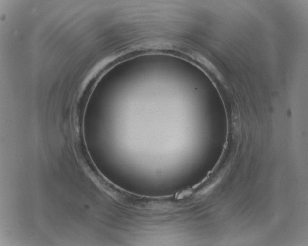 X0000076390981200610202100