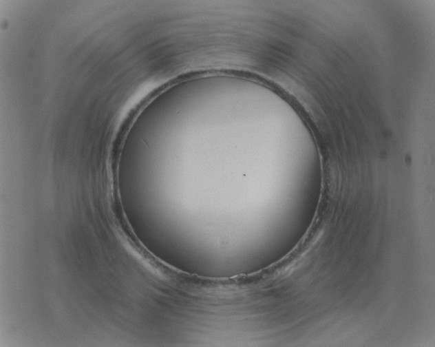 X0000076390982200610202100