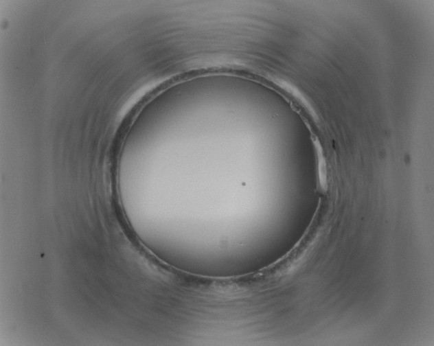 X0000076390983200610202100