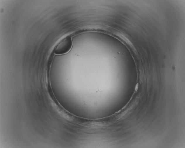 X0000076390984200610202100