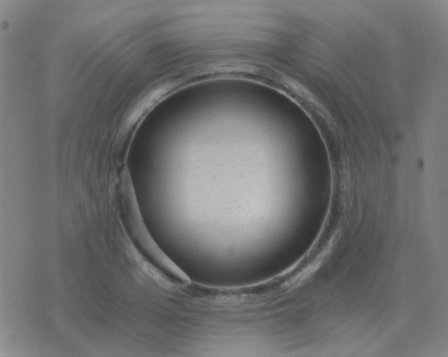 X0000076390985200610202100