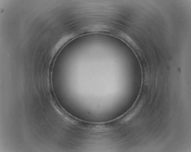 X0000076390986200610202100