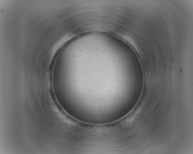 X0000076390987200610202100