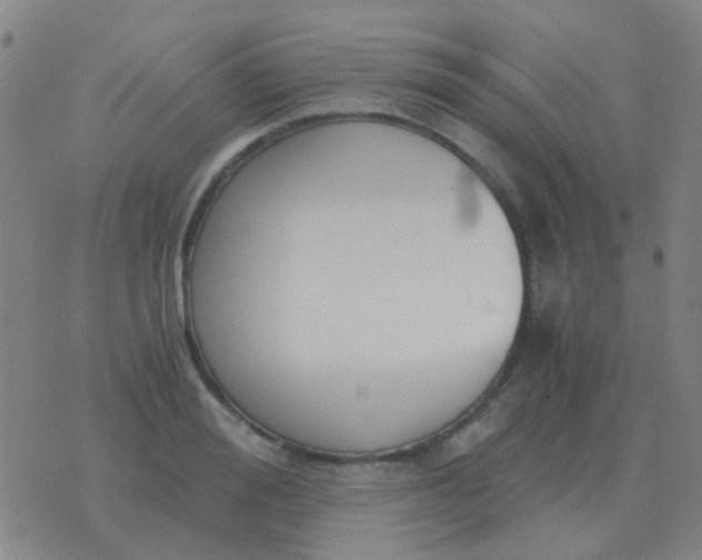 X0000076390988200610202100