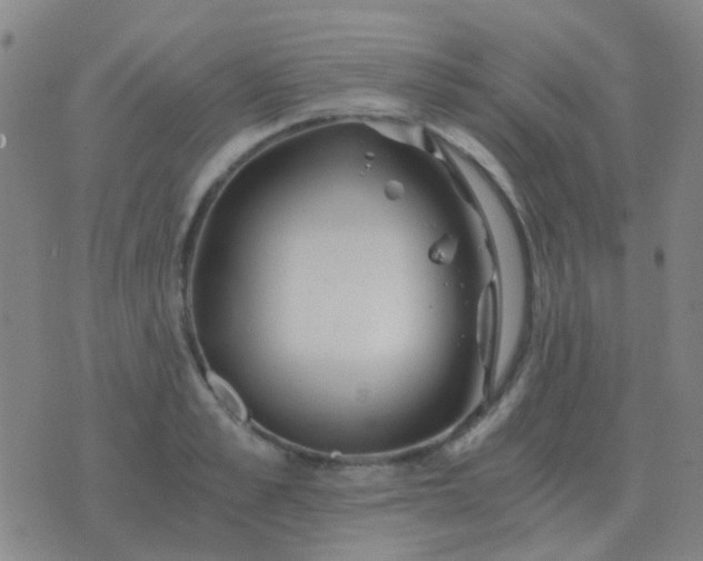 X0000076390989200610202100