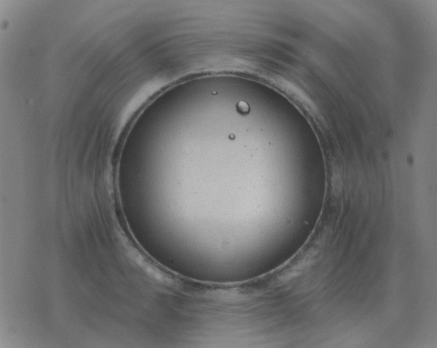 X0000076390990200610202100