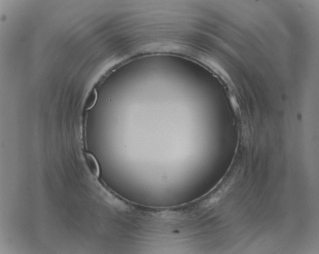 X0000076390992200610202100