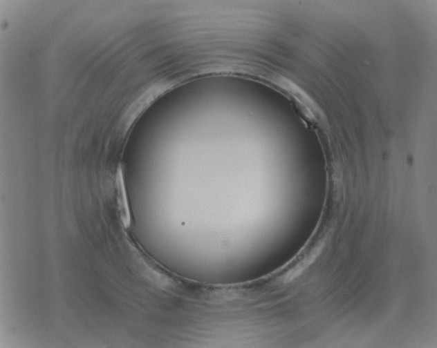 X0000076390993200610202100