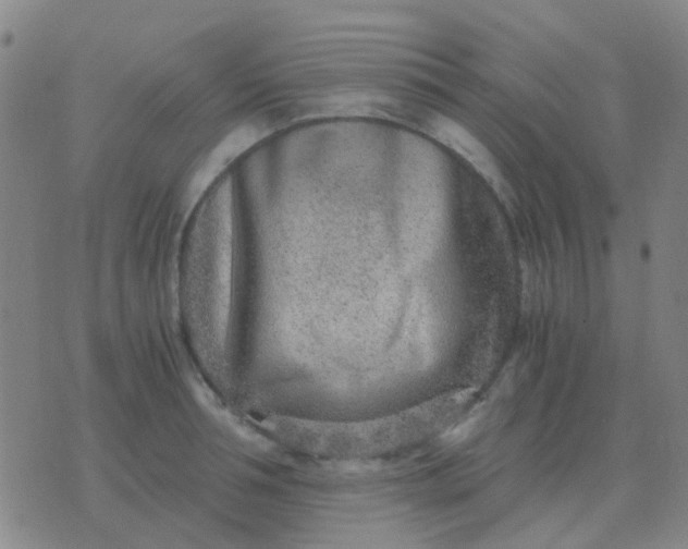 X0000076390994200610202100