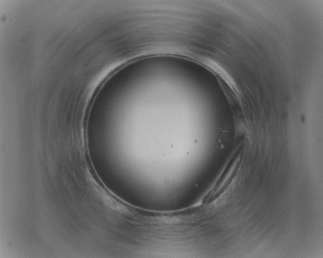 X0000076390996200610202100