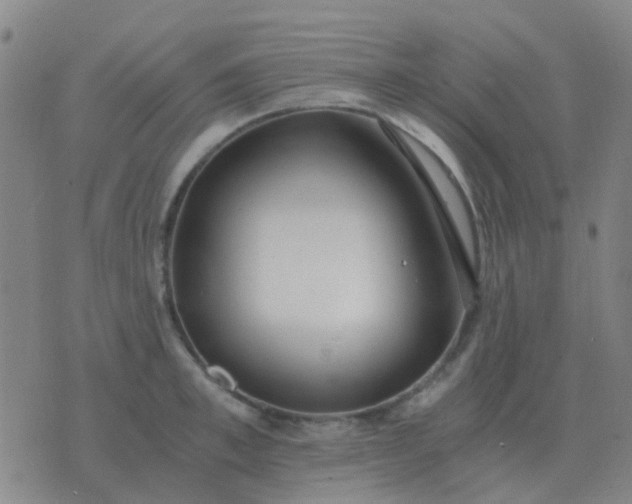 X0000076390997200610202100