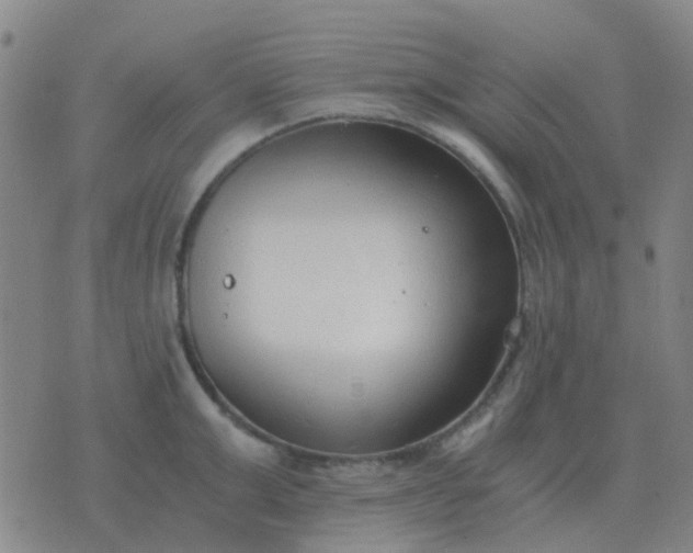 X0000076390999200610202100