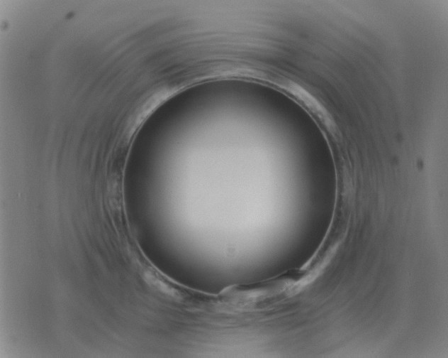 X0000076391001200610202100