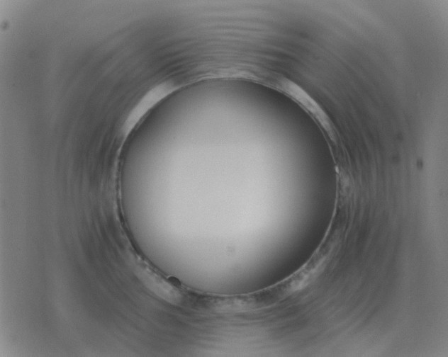 X0000076391002200610202100